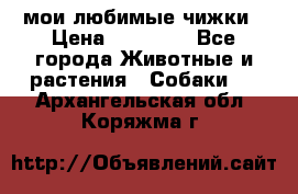 мои любимые чижки › Цена ­ 15 000 - Все города Животные и растения » Собаки   . Архангельская обл.,Коряжма г.